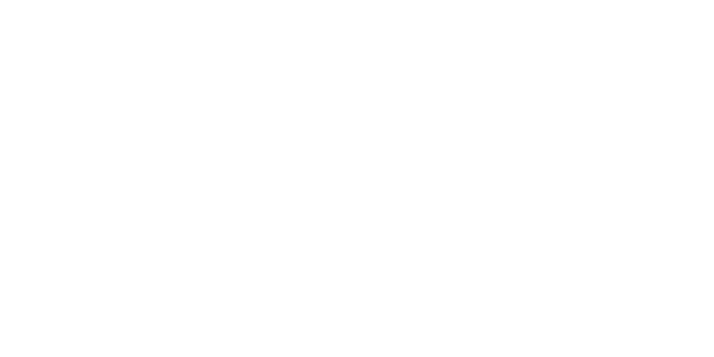 Logo blanc Ludi Spirit